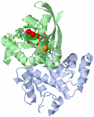 Image Asym./Biol. Unit - sites