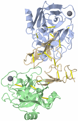 Image Biological Unit 1