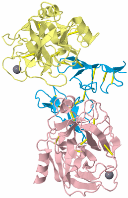 Image Biological Unit 2