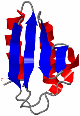 Image NMR Structure - model 1