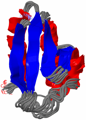 Image NMR Structure - all models