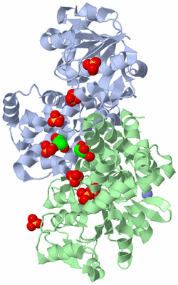 Image Asym./Biol. Unit