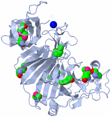 Image Biological Unit 1