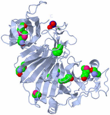 Image Biol. Unit 1 - sites