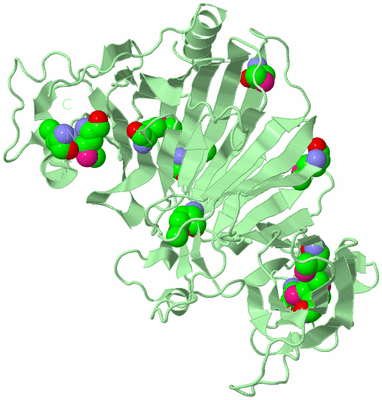 Image Biological Unit 2