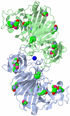 Image Biological Unit 3