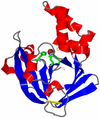 Image Asym./Biol. Unit - sites