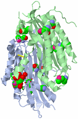 Image Asym./Biol. Unit - sites