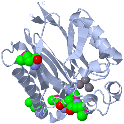 Image Biological Unit 1