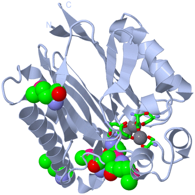 Image Biol. Unit 1 - sites