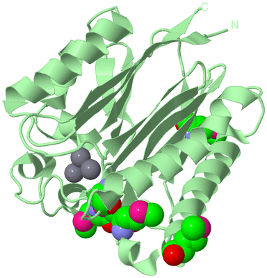 Image Biological Unit 2