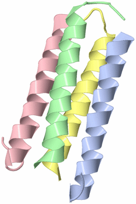 Image NMR Structure - model 1