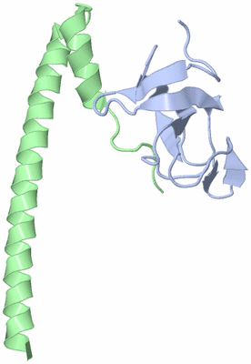 Image Asymmetric Unit