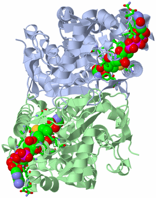 Image Biol. Unit 1 - sites