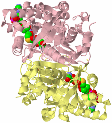 Image Biological Unit 2