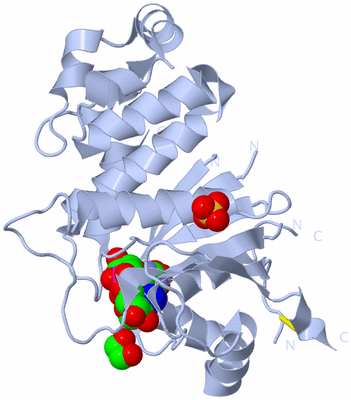 Image Biological Unit 2