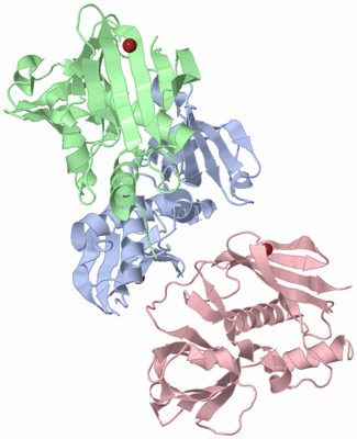Image Asymmetric Unit