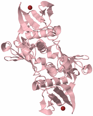 Image Biological Unit 2