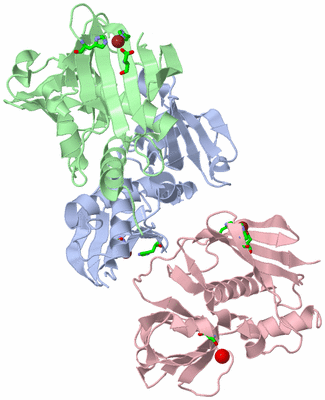 Image Asym. Unit - sites
