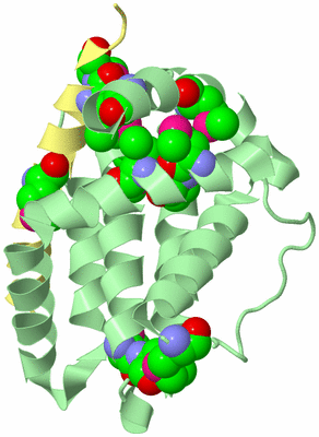 Image Biological Unit 3