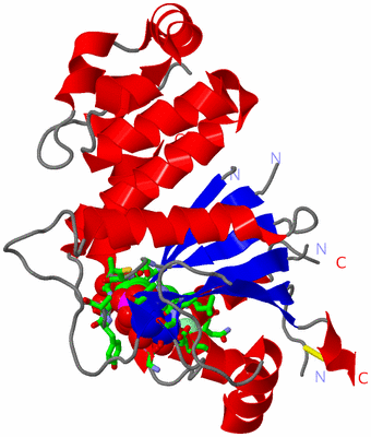 Image Asym. Unit - sites