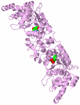 Image Biological Unit 1