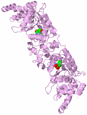 Image Biological Unit 1