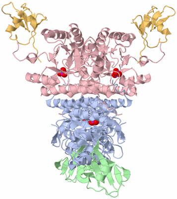 Image Biological Unit 1