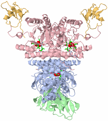 Image Biol. Unit 1 - sites