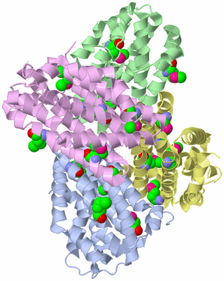 Image Asym./Biol. Unit