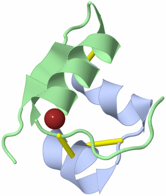 Image Biological Unit 1