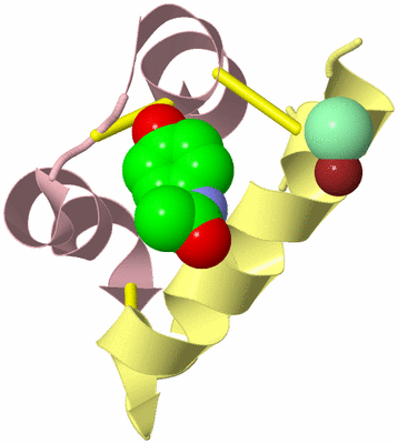 Image Biological Unit 2