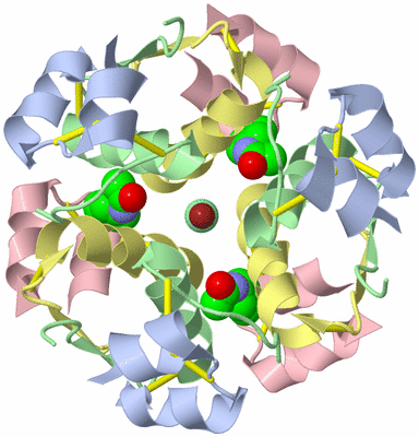 Image Biological Unit 3