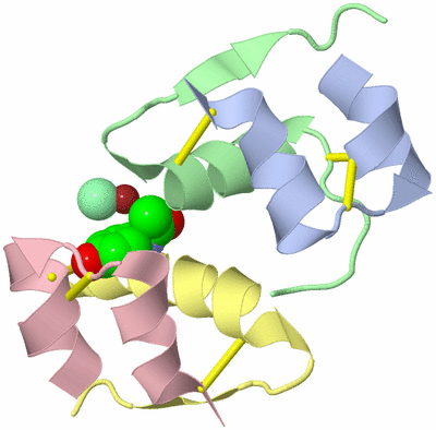 Image Biological Unit 4