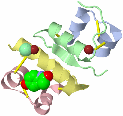 Image Biological Unit 5