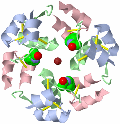 Image Biological Unit 6