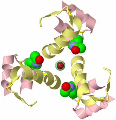 Image Biological Unit 7