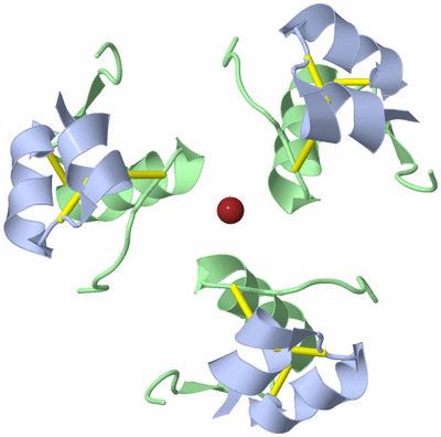 Image Biological Unit 8