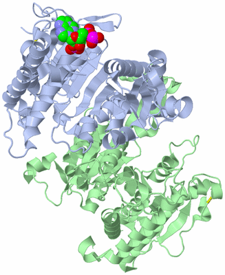 Image Asym./Biol. Unit