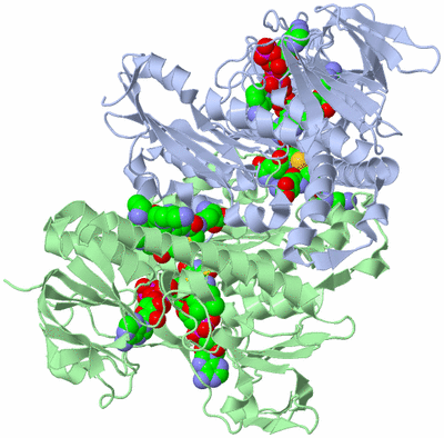 Image Asym./Biol. Unit