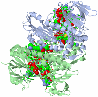 Image Asym./Biol. Unit - sites