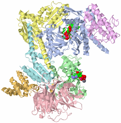 Image Asym./Biol. Unit - sites