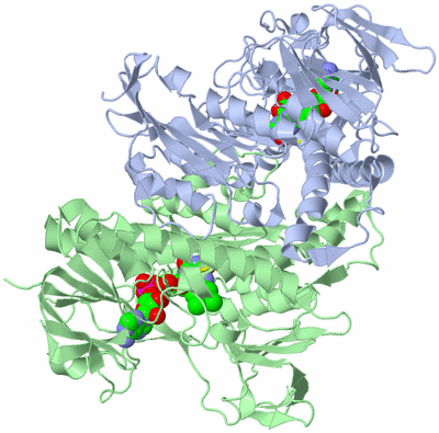 Image Asym./Biol. Unit