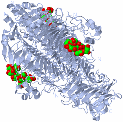 Image Biological Unit 1