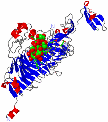 Image Asym. Unit - sites