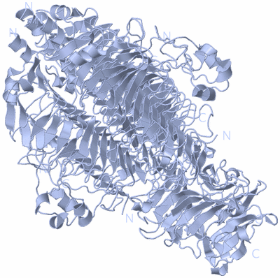 Image Biological Unit 1