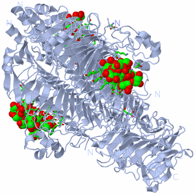 Image Biol. Unit 1 - sites