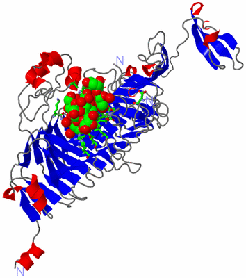 Image Asym. Unit - sites