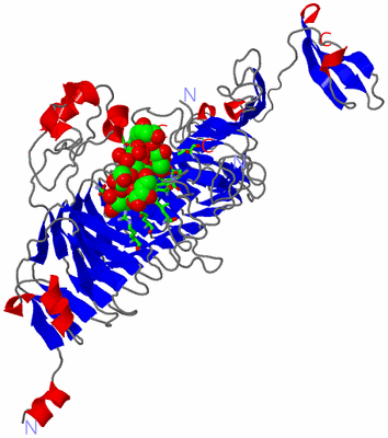 Image Asym. Unit - sites