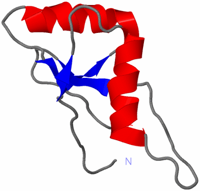 Image NMR Structure - model 1